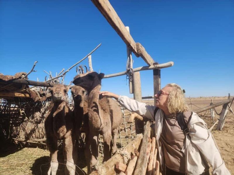 Khiva: Silk Road Tour - What Travelers Say