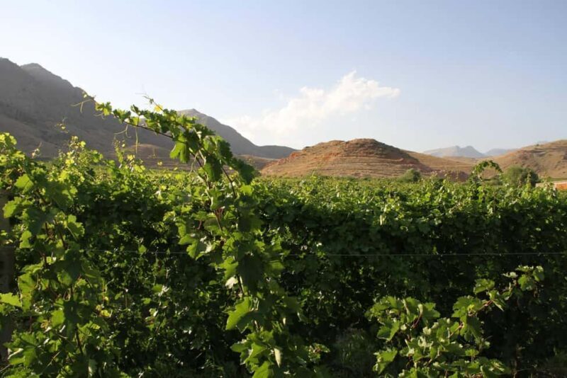 Khor Virap and Noravank Monasteries Tour - Who Will Love This Tour?