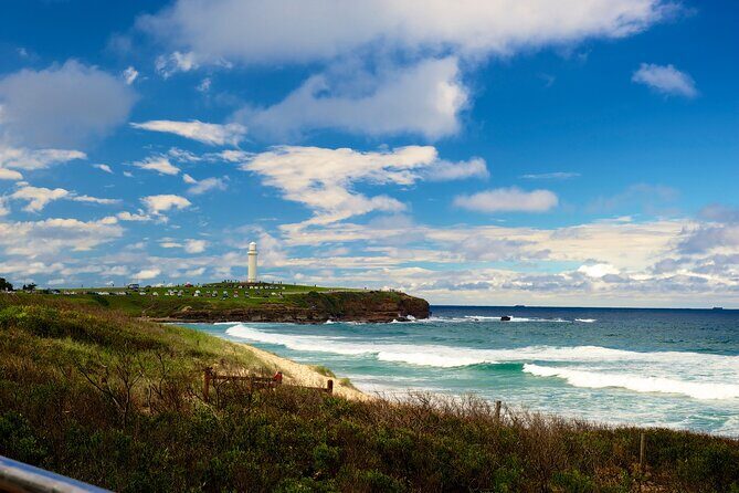 Kiama Coastal Day Tour in Sea Cliff Bridge Blowhole and Wildlife - Key Points