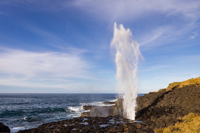Kiama Coastal Day Tour in Sea Cliff Bridge Blowhole and Wildlife - Transportation, Group Size, and Practicalities