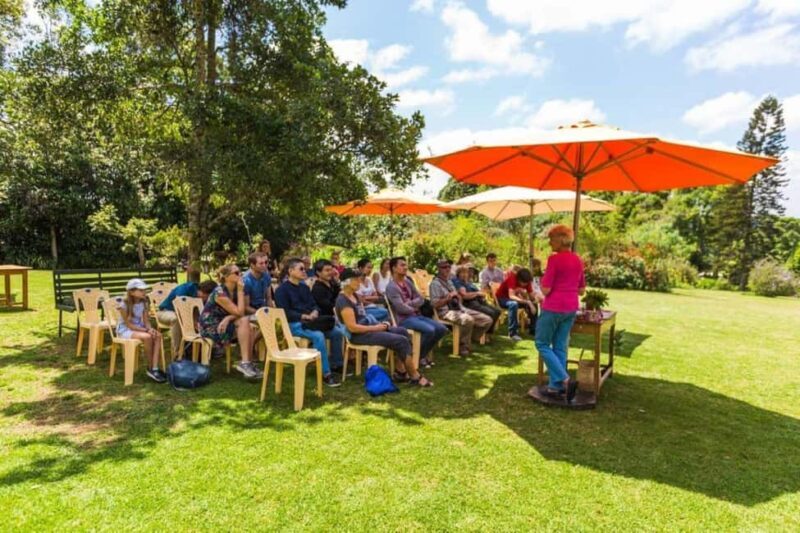 Kiambethu Tea Farm Tour (All Inclusive) - The Full Scoop on the Kiambethu Tea Farm Tour
