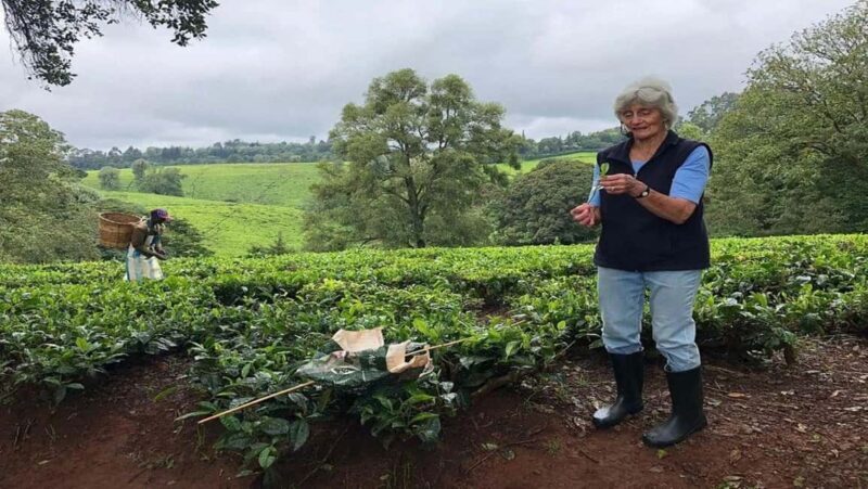 Kiambethu Tea Farm Tour (All Inclusive) - Tea Tasting and Meals