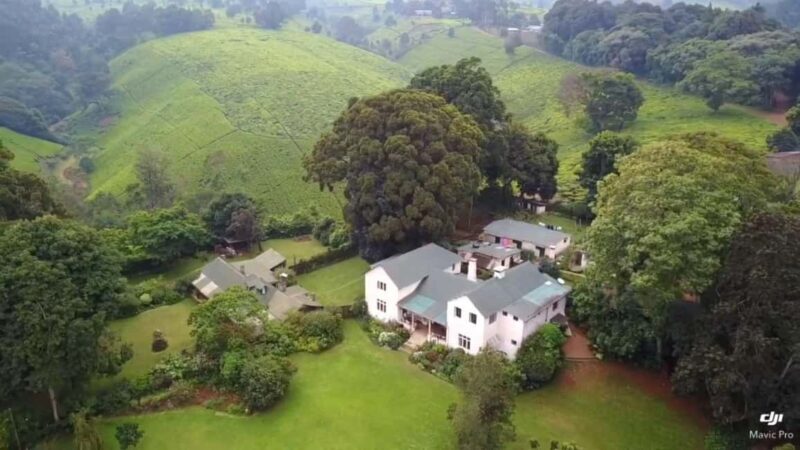 Kiambethu Tea Farm Tour & Lunch - Why This Tour Is Worth Considering