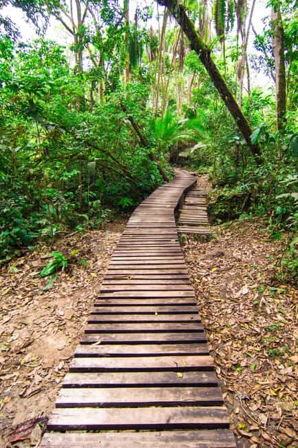 Kibale National Park: 2-Days Chimpanzee Tracking Tour - The Practicalities