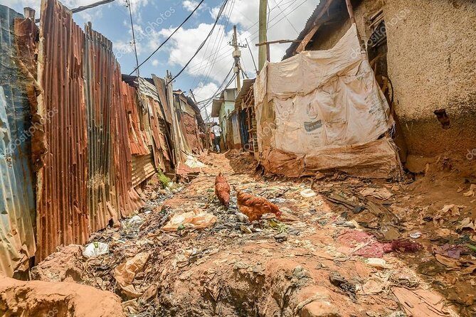 Kibera Slum Guided Tour from Nairobi - Who is This Tour Perfect For?