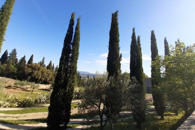 kickbike-adventure-through-florence-with-locals