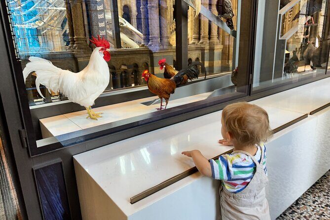 Kid-Friendly Natural History Museum & Dinosaurs Private Guided Tour in London - FAQ
