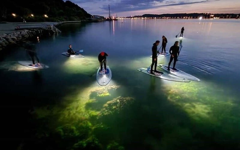 Kiel/Plön: glassSUP - guided night tour. Dive in without getting wet. - Key Points