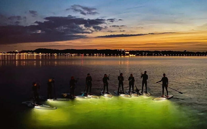 Kiel/Plön: glassSUP - guided night tour. Dive in without getting wet. - What Makes the glassSUP Night Tour Stand Out?