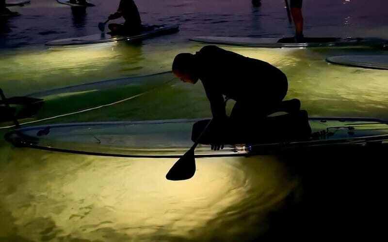 Kiel/Plön: glassSUP - guided night tour. Dive in without getting wet. - Who Will Love This Tour?