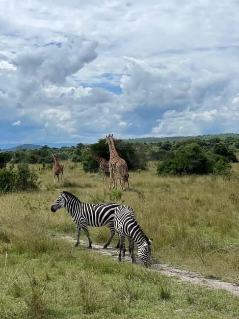 Kigali: 2-Day Akagera National Park Safari with Boat Ride - Key Points