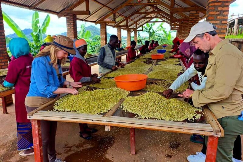 Kigali: City Tour and Coffee Tour experience - Exploring Kigali’s Heritage and Heart