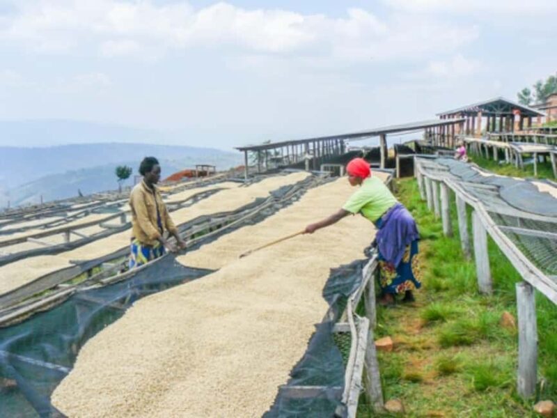 Kigali: City Tour and Coffee Tour experience - Practical Details and Logistics
