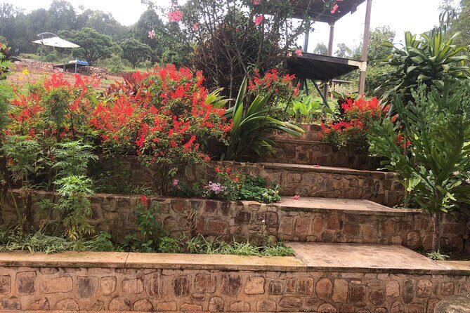 Kigali City Tour, Genocide Memorial Visit, Walking Tour in Kigali - Value for Money
