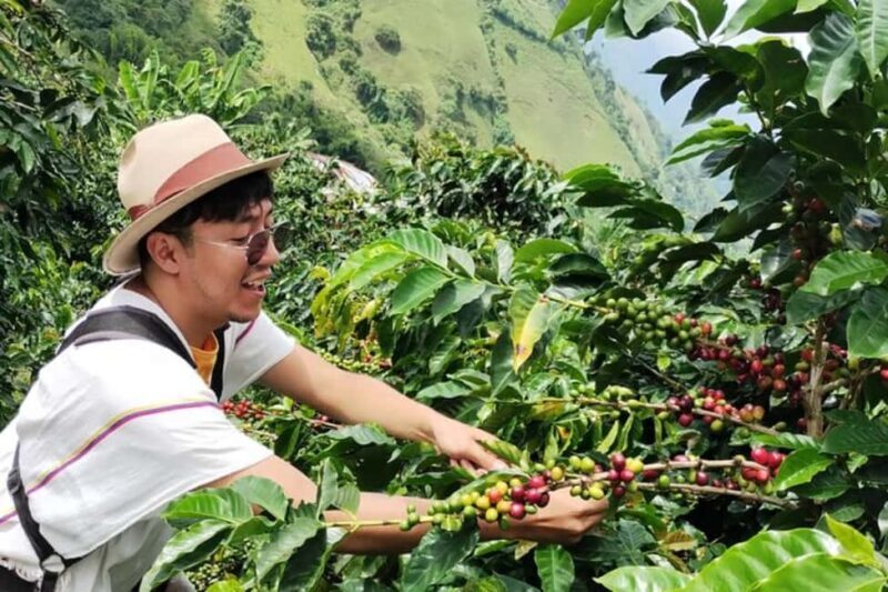 Kigali: Coffee Tour Experience with Private Transfers - Key Points