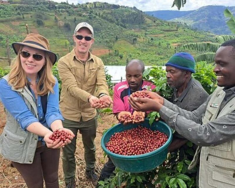 Kigali: Coffee Tour Experience with Private Transfers - Why This Tour Is Worth It