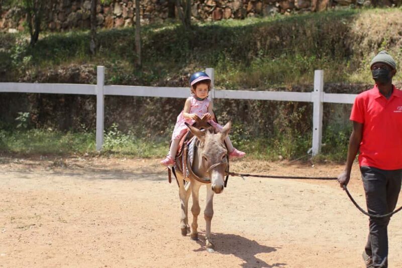 Kigali: Donkey Rides for Kids Experience - Key Points  