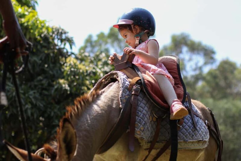 Kigali: Donkey Rides for Kids Experience - What You Can Expect During the Tour