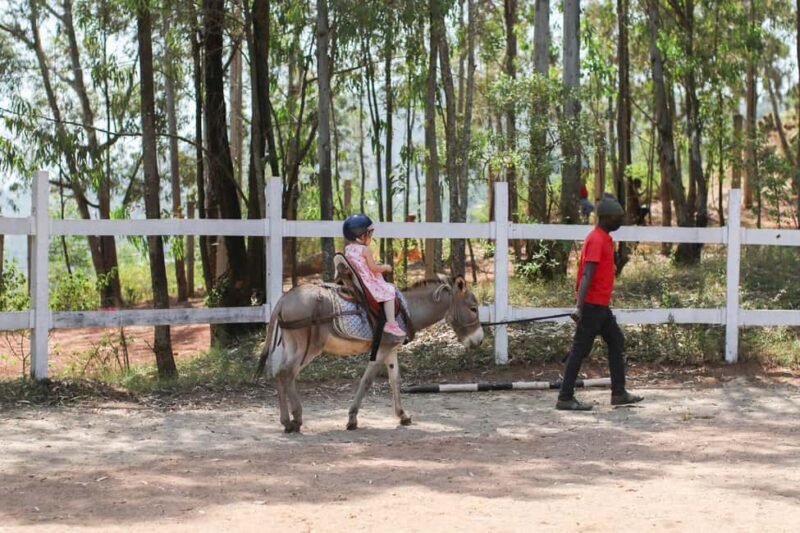 Kigali: Donkey Rides for Kids Experience - Final Thoughts on Value and Suitability