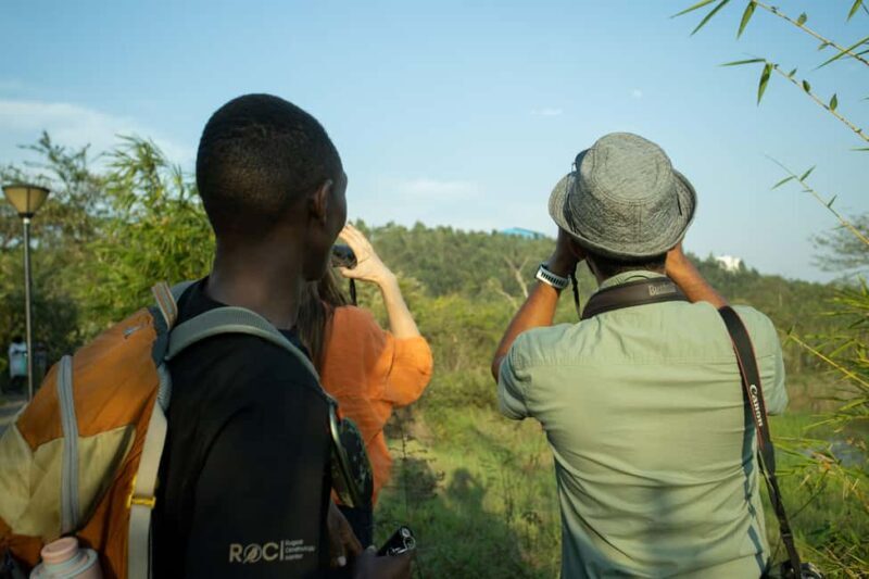 Kigali Eco Park Bird Watching Experience - An Overview of the Kigali Eco Park Bird Watching Experience