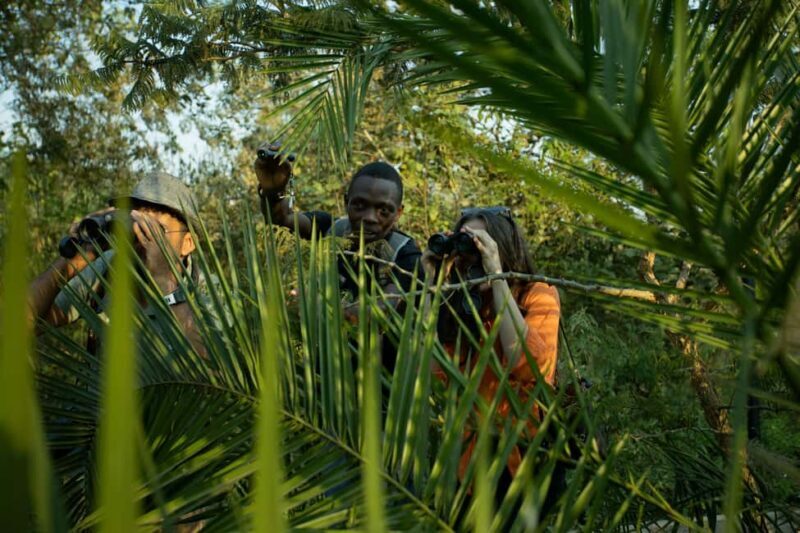 Kigali Eco Park Bird Watching Experience - What Makes the Kigali Eco Park Bird Watching Experience Special?