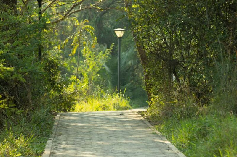 Kigali Eco Park Bird Watching Experience - The Review Insights That Matter