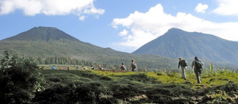 Kigali: Gorilla Trekking in Volcanoes National Park - Practical Tips & Considerations