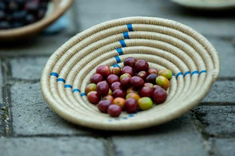Kigali: Traditional Coffee Experience ( Bean to Brew) - Who Will Appreciate This Tour?