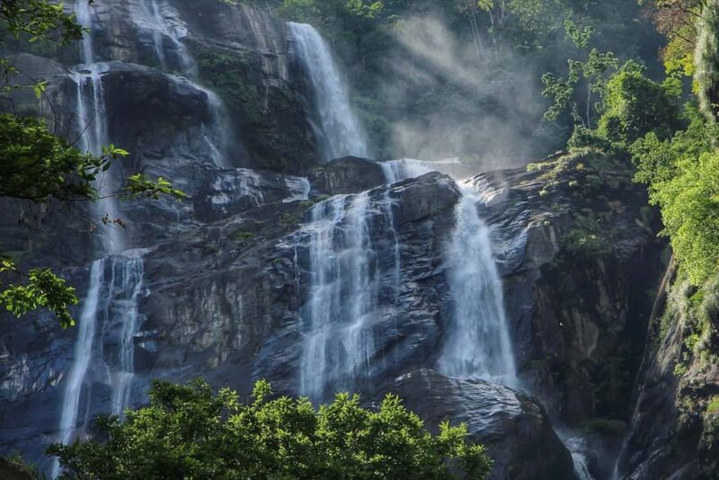 Kigoma: 5-Day Gombe and Mahale National Parks Safari - Key Points