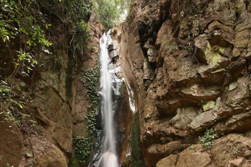 Kigoma: 5-Day Gombe and Mahale National Parks Safari - FAQ