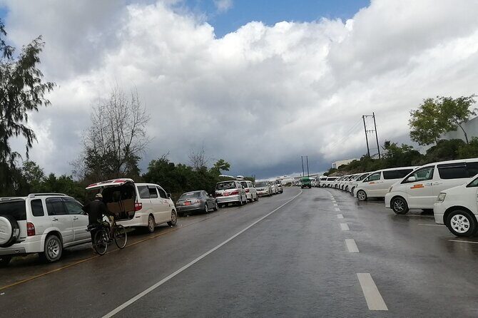 Kigoma Aiport Pickup or Transfers - Pricing and Value