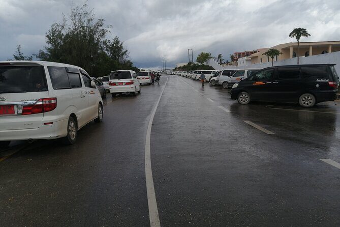 Kigoma Aiport Pickup or Transfers - FAQ