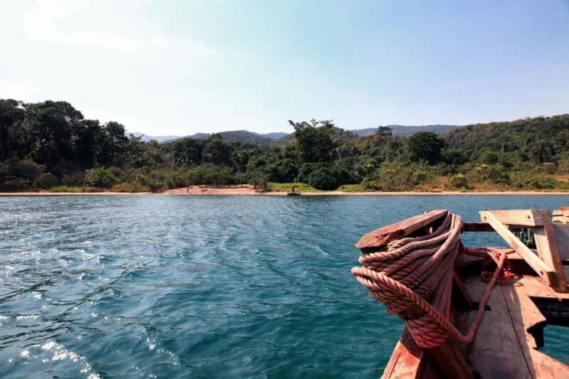 Kigoma: Gombe National Park Day Trip with Chimpanzee Trek - Key Points