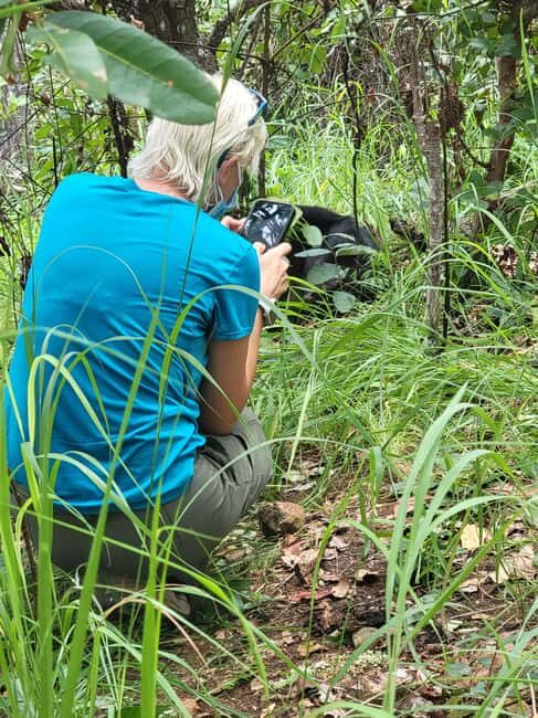 Kigoma: Gombe National Park Day Trip with Chimpanzee Trek - The Journey Begins: From Kigoma to Gombe