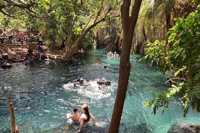 Kikuletwa Chemka Hot Springs Bicycle or Tuk Tuk Day Trip - Key Points