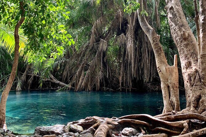 Kikuletwa Chemka Hot Springs Bicycle or Tuk Tuk Day Trip - Exploring the Itinerary in Detail