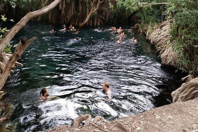 Kikuletwa (Chemka) Hot Springs Day Tour - Other Notable Aspects