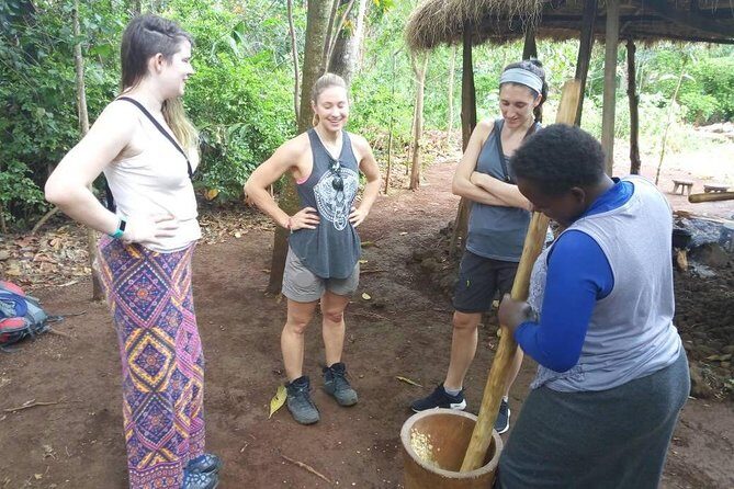 Kikuletwa (Chemka) Hot Springs Day Tour - Price and Value