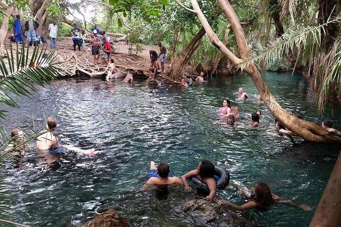 Kikuletwa (Chemka) Hot Springs Day Tour - Who Should Consider This Tour?