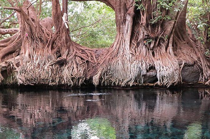 Kikuletwa hot spring and Arusha Cultural Heritage, Full Day Tour - FAQ