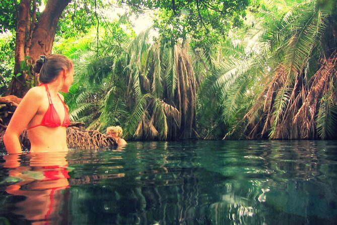 Kikuletwa Hot Spring Day Tour - Key Points  