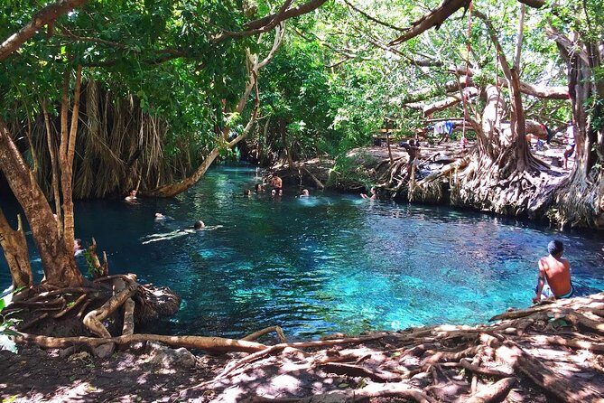Kikuletwa Hotspring Day Trip - Key Points