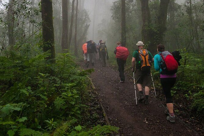 Kilimanjaro 1 Day Hike - The Sum Up