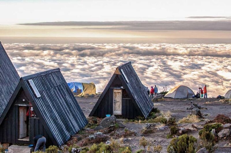Kilimanjaro: 14-Day Climb and Zanzibar Island Retreat - What’s Included and What You Should Consider