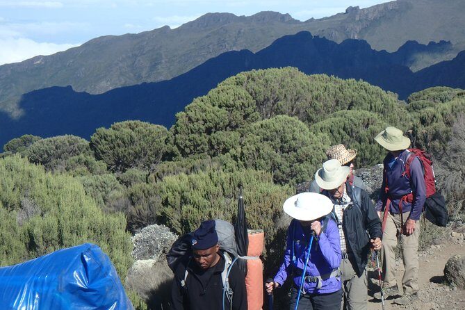 Kilimanjaro 2 days Hike - What to Expect from the 2-Day Kilimanjaro Hike