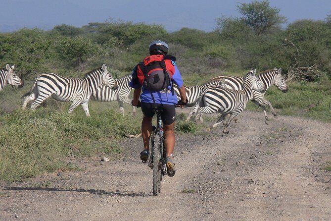 Kilimanjaro 360 - Final Thoughts