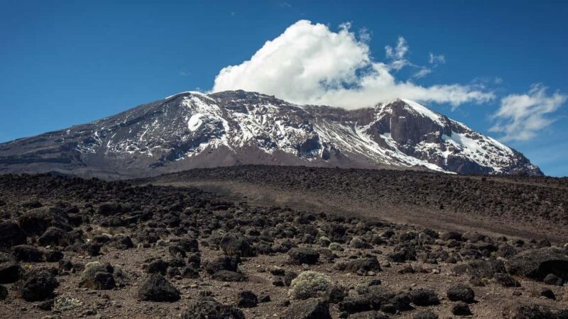 Kilimanjaro: 5-Day Luxury Climbing Tour on Marangu Route - The Value of a Luxury Kilimanjaro Climb