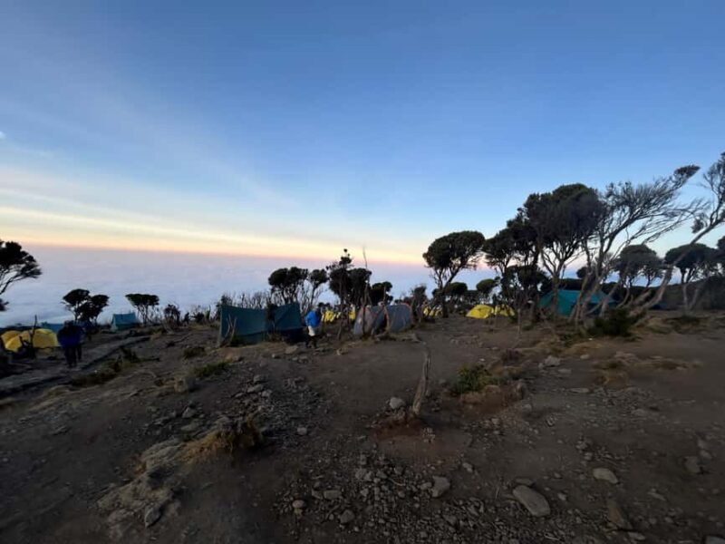 Kilimanjaro: 6-Day Machame Route Kilimanjaro Climb - Key Points
