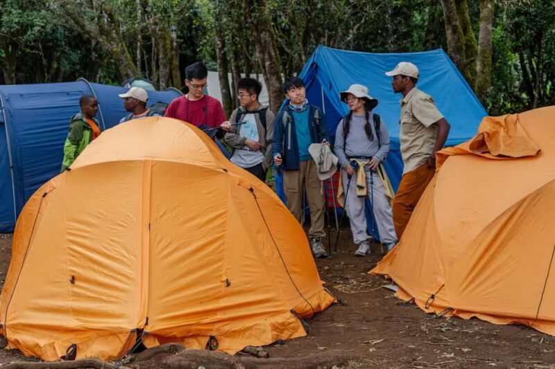 Kilimanjaro: 6-Day Machame Route Trek with Airport Transfer - Review of the Kilimanjaro: 6-Day Machame Route Trek with Airport Transfer