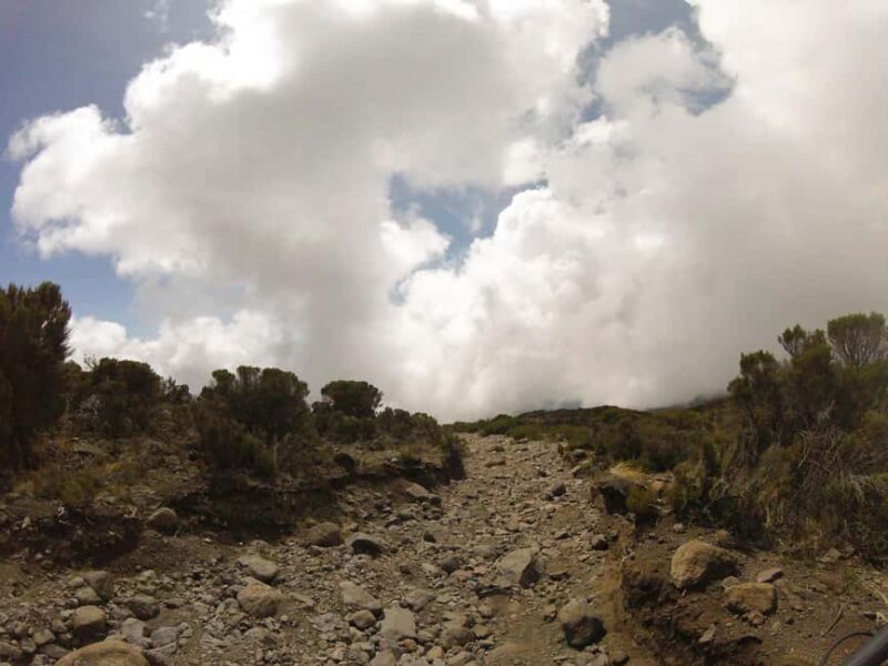 Kilimanjaro: 7-Day Kilimanjaro Umbwe Route Guided Trek - Introduction to the Umbwe Route Experience